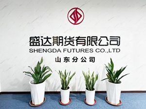 山东分公司